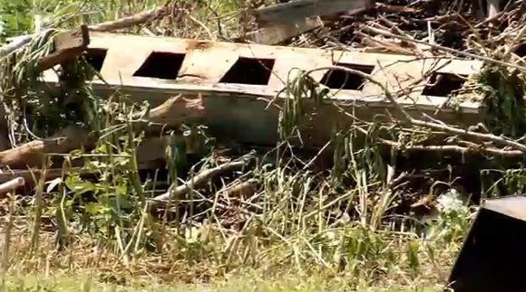 MOODY, Tex. — A Texas man died after a swarm of Africanized bees disturbed by his tractor attacked, stinging him ... MOODY, Tex. — A Texas man died after a swarm of Africanized bees disturbed by his tractor attacked, stinging him ...