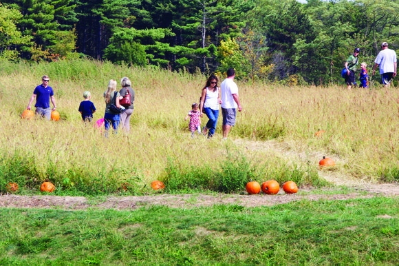 Like the pumpkins they sell, farms where parents can bring their kids to pick out their own jack o’ lantern ... Like the pumpkins they sell, farms where parents can bring their kids to pick out their own jack o’ lantern ...