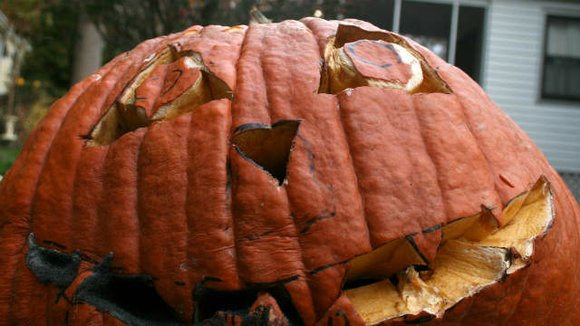 Will County’s second-annual Jack-0-Lantern collection will be held from 9 a.m. to noon Nov. 6 and 7 at Lewis University ... Will County’s second-annual Jack-0-Lantern collection will be held from 9 a.m. to noon Nov. 6 and 7 at Lewis University ...