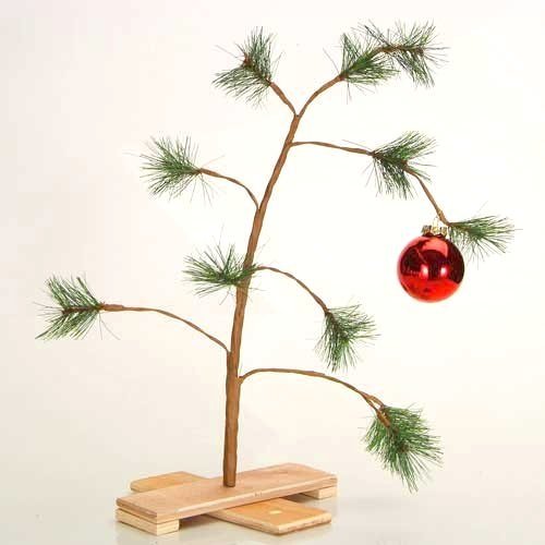 Timely Disposal Of Christmas Trees And Safe Removal Of Lights May Timely Disposal Of Christmas Trees And Safe Removal Of Lights May