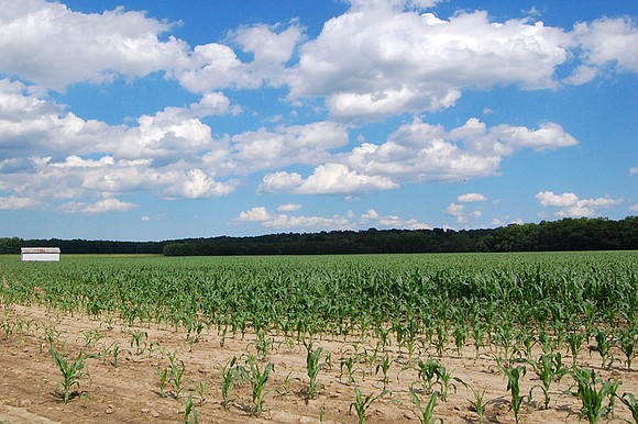 Agriculture may well be one of the industries hardest hit by the effects of global warming. The non-profit Natural Resources ... Agriculture may well be one of the industries hardest hit by the effects of global warming. The non-profit Natural Resources ...