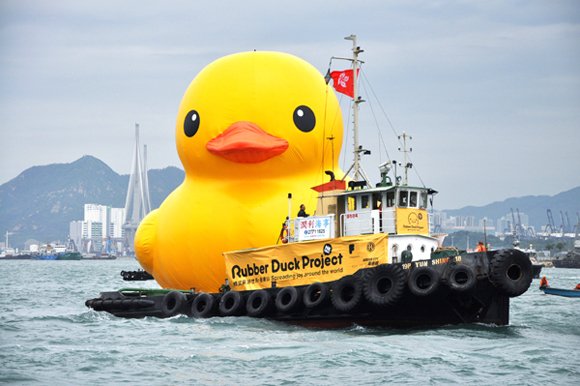 giant rubber ducky drowns in victoria harbour our weekly black