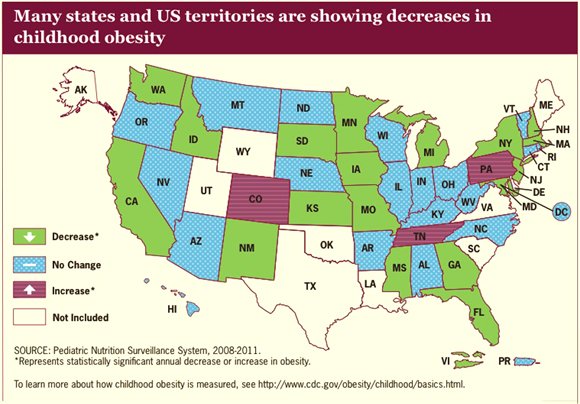 After decades of warnings about the rapidly rising rate of childhood obesity, the Centers for Disease Control and Prevention has ... After decades of warnings about the rapidly rising rate of childhood obesity, the Centers for Disease Control and Prevention has ...