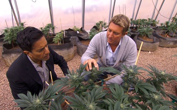 Over the last year, I have been working on a new documentary called “Weed.” The title “Weed” may sound cavalier, ... Over the last year, I have been working on a new documentary called “Weed.” The title “Weed” may sound cavalier, ...