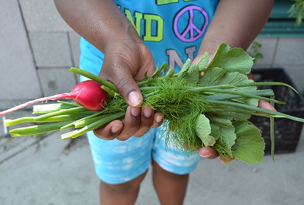 Chef Eric Brennan of Post 390 and Chris Himmel, the restaurant’s owner, visited the Blue Hill Boys and Girls Club and used fresh ingredients from their outdoor garden to create grilled pizzas.