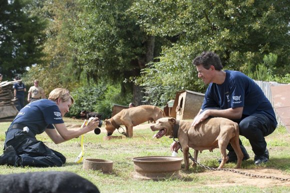 The “lowest places in hell” are reserved for people who force animals to fight, an Alabama district attorney said Monday ... The “lowest places in hell” are reserved for people who force animals to fight, an Alabama district attorney said Monday ...