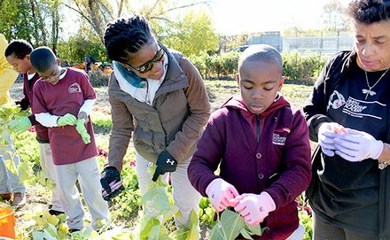Students from Smith Leadership Academy Charter Public School recently volunteered with theMOVE at City Growers, an urban farm off Blue Hill Avenue, in celebration of National Food Day. TheMOVE is a nonprofit organization that facilitates farm workdays for Metro Boston area children, teens and adults to inform deeper understandings of the food system.