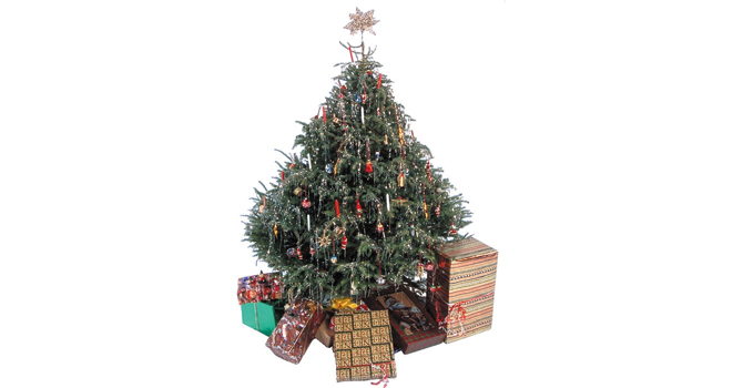 top 28 the twelve trees of christmas 2013 subscene top 28 the twelve trees of christmas 2013 subscene