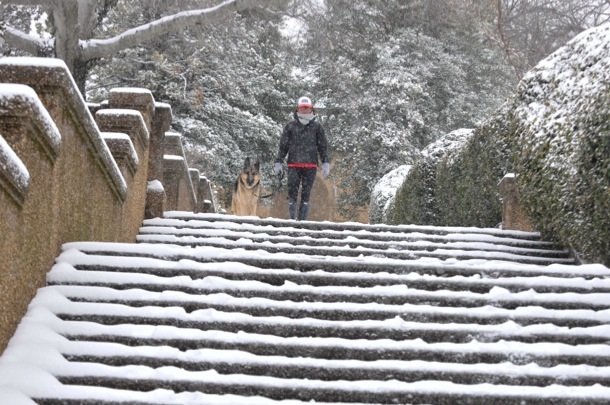 A man stands with his dog at the to of the steps of Meridian Hill Park in Northwest on Monday, March 3, after a massive snowstorm hit the region.