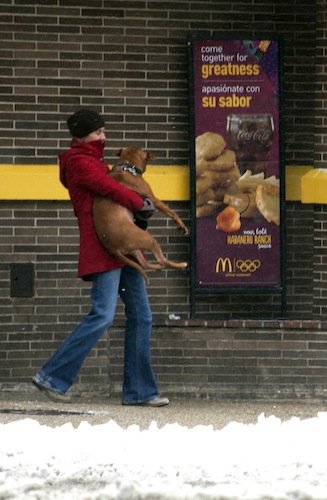 A pedestrian carries her dog on the sidewalk in D.C.'s Adams Morgan neighborhood to protect the dog from snow-removal chemicals on March 17, 2014, after a winter storm hit the region.