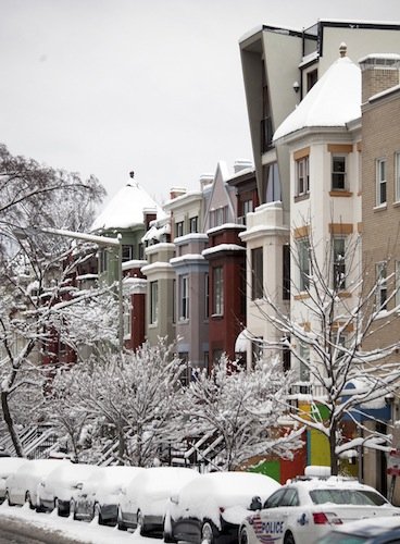 Snow-covered trees and cars line the street in front of row houses on Ontario Road in Northwest D.C. on March 17, 2014, after a winter storm hit the region.