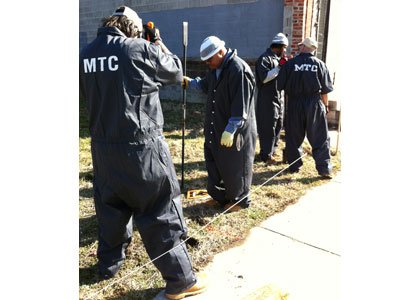 Maryland inmates planted special wildflower and grass seeds in eight vacant Baltimore lots, hoping to turn them into flowering meadows. Maryland inmates planted special wildflower and grass seeds in eight vacant Baltimore lots, hoping to turn them into flowering meadows.