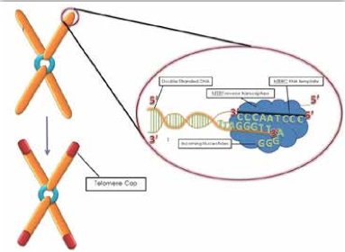 While sticks and stones can break bones, new research indicates that family struggles can hurt children on a molecular level. While sticks and stones can break bones, new research indicates that family struggles can hurt children on a molecular level.