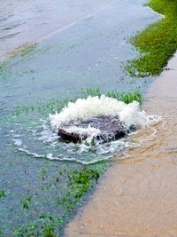 Raw sewage combined with storm water has been dumped into the Des Plaines River 17 times between 2009 and April ... Raw sewage combined with storm water has been dumped into the Des Plaines River 17 times between 2009 and April ...