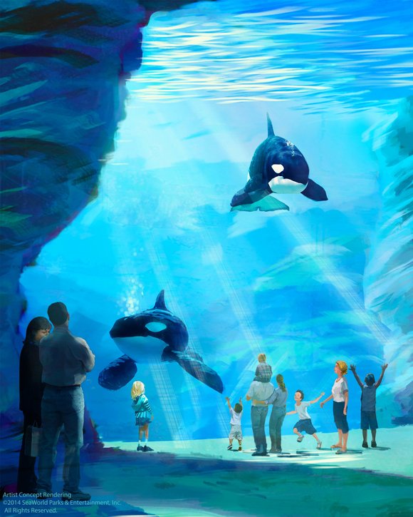 The move comes amid a backlash following the release of Blackfish, a documentary aired by CNN that examined SeaWorld's treatment ... The move comes amid a backlash following the release of Blackfish, a documentary aired by CNN that examined SeaWorld's treatment ...