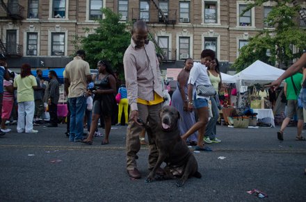 Even pets got dolled up and their nails done. #HarlemWeek (08/17/2014)