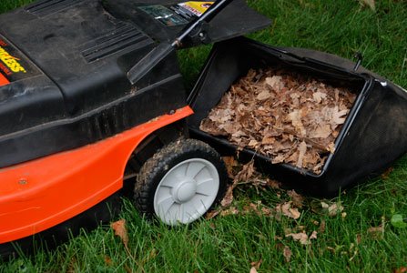 You can see and feel the change of seasons. Fall color is starting to appear, pansies, mums and asters are ... You can see and feel the change of seasons. Fall color is starting to appear, pansies, mums and asters are ...