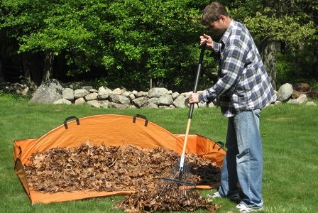 A beautiful lawn is important for a lovely home, but when those autumn leaves begin to fall, some extra effort ... A beautiful lawn is important for a lovely home, but when those autumn leaves begin to fall, some extra effort ...