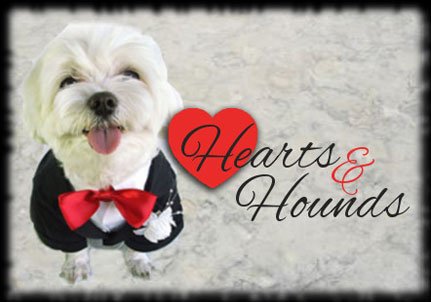 Ring in the New Year for the Dare to C.A.R.E. and the SPCA of Anne Arundel County's Hearts & Hounds ... Ring in the New Year for the Dare to C.A.R.E. and the SPCA of Anne Arundel County's Hearts & Hounds ...