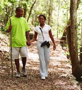 As the summer season approaches and people and their pets begin enjoying more time outdoors, the risk of tick-borne disease ... As the summer season approaches and people and their pets begin enjoying more time outdoors, the risk of tick-borne disease ...