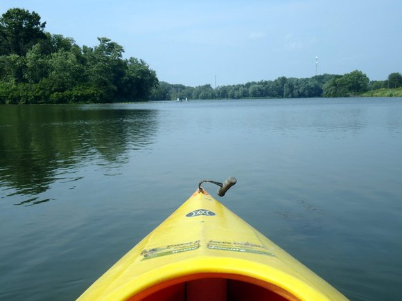 Among the variety of events being held are programs on kayaking, drawing insects, fishing and exploring the Rock Run Rookery. Among the variety of events being held are programs on kayaking, drawing insects, fishing and exploring the Rock Run Rookery.