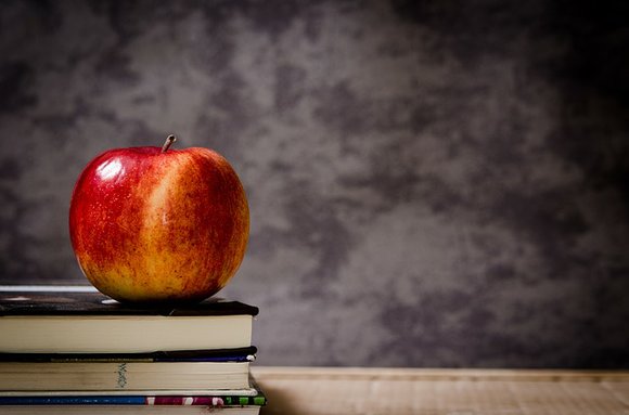 Activists declared Wednesday, Sept. 20, 2017, the National Day of Action to Oppose the Trump/DeVos Anti-Education Agenda.