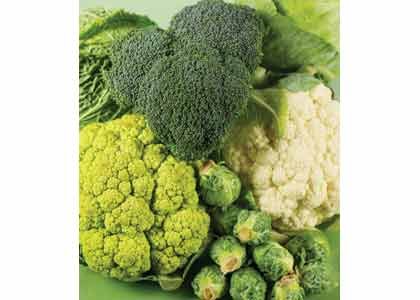 While no single food or ingredient can prevent people from getting cancer, research has shown a link between excess body ... While no single food or ingredient can prevent people from getting cancer, research has shown a link between excess body ...