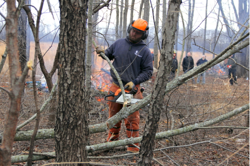 Workdays are scheduled for almost every weekend through December at forest preserves in Joliet, New Lenox, Homer Glen and elsewhere. Workdays are scheduled for almost every weekend through December at forest preserves in Joliet, New Lenox, Homer Glen and elsewhere.