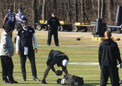 Experience was one of the major factors that influenced the Baltimore Ravens to sign free agent Matt Schaub to be ... Experience was one of the major factors that influenced the Baltimore Ravens to sign free agent Matt Schaub to be ...
