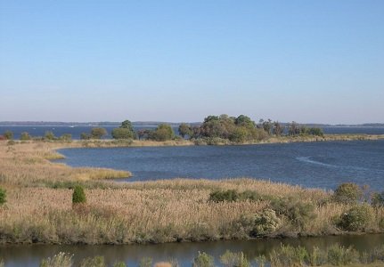 Governor Larry Hogan announced an investment of $53 million for the Chesapeake and Atlantic Coastal Bays Trust Fund and $60 ... Governor Larry Hogan announced an investment of $53 million for the Chesapeake and Atlantic Coastal Bays Trust Fund and $60 ...