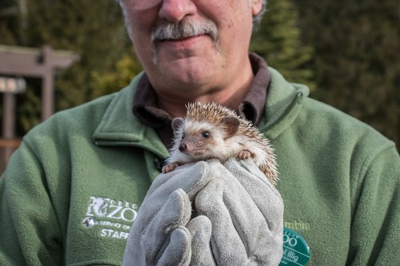 Sure, Punxsutawney Phil may be calling for an early spring, but more importantly for local residents, so is Velda, the ... Sure, Punxsutawney Phil may be calling for an early spring, but more importantly for local residents, so is Velda, the ...