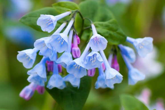 Get out in nature and learn some new things as well with the Forest Preserve District of Will County. Get out in nature and learn some new things as well with the Forest Preserve District of Will County.