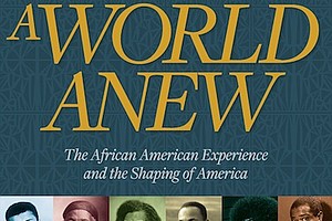 “Dream a World Anew” by the National Museum of African American History & Culture
c.2016, Smithsonian Books $40.00 / $47.00 Canada 288 pages