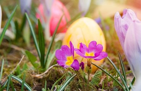 The following list is a guide to cultural and community events in South Jersey and the region. Items for the ... The following list is a guide to cultural and community events in South Jersey and the region. Items for the ...