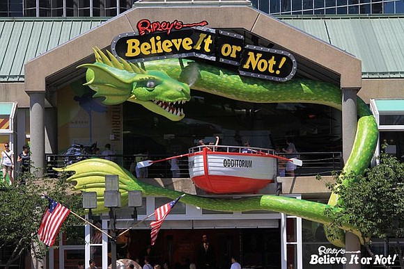 Job seekers are invited to attend Ripley's Job Fair on Wednesday, April 12 from 10 am to 2 pm and ... Job seekers are invited to attend Ripley's Job Fair on Wednesday, April 12 from 10 am to 2 pm and ...