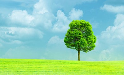 National Arbor Day is Friday, April 28, this year, and the Arbor Day Foundation is making it easy for anyone ... National Arbor Day is Friday, April 28, this year, and the Arbor Day Foundation is making it easy for anyone ...