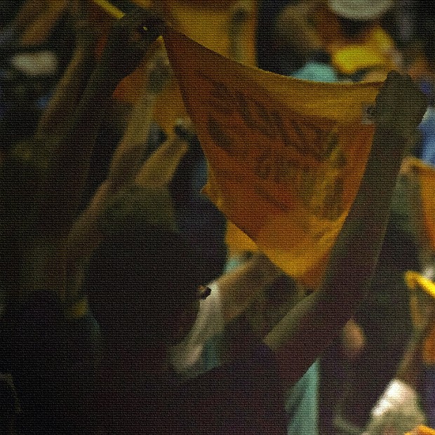 Fan support for the Grizzlies is a work of art. (Photo: Karanja A. Ajanaku)