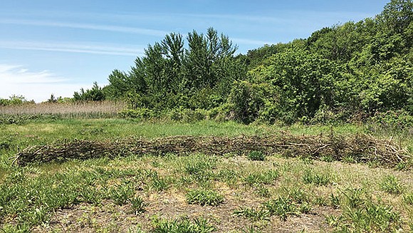 The public art project is a series of temporary, site-specific sculptures on the Peddocks Island, designed to creatively interface with ... The public art project is a series of temporary, site-specific sculptures on the Peddocks Island, designed to creatively interface with ...