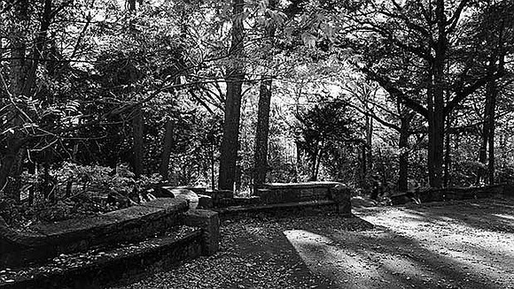The pieces, printed old-school with selenium-toned gelatin silver plates, have a moody, cinematic quality and show Boston’s Franklin Park as ... The pieces, printed old-school with selenium-toned gelatin silver plates, have a moody, cinematic quality and show Boston’s Franklin Park as ...