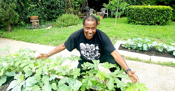 It is with great excitement that I write this first article in what will be a monthly feature: Sankofa Garden ... It is with great excitement that I write this first article in what will be a monthly feature: Sankofa Garden ...
