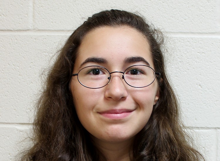 Common core standards printable picture