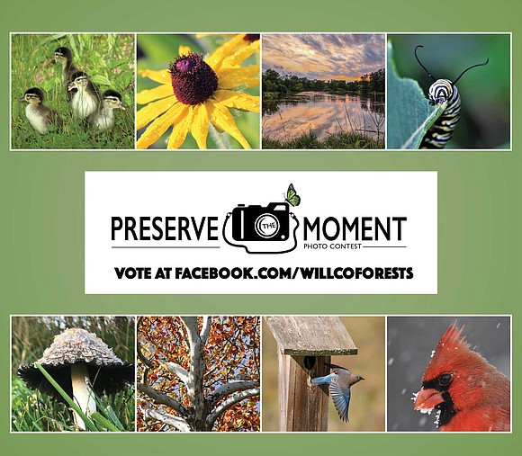 Help choose the top three 2017 Preserve the Moment photo contest pictures by voting now on the Forest Preserve District ... Help choose the top three 2017 Preserve the Moment photo contest pictures by voting now on the Forest Preserve District ...