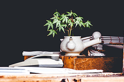 State lawmakers who are introducing bills this week to put the issue of whether to tax and regulate marijuana for ... State lawmakers who are introducing bills this week to put the issue of whether to tax and regulate marijuana for ...