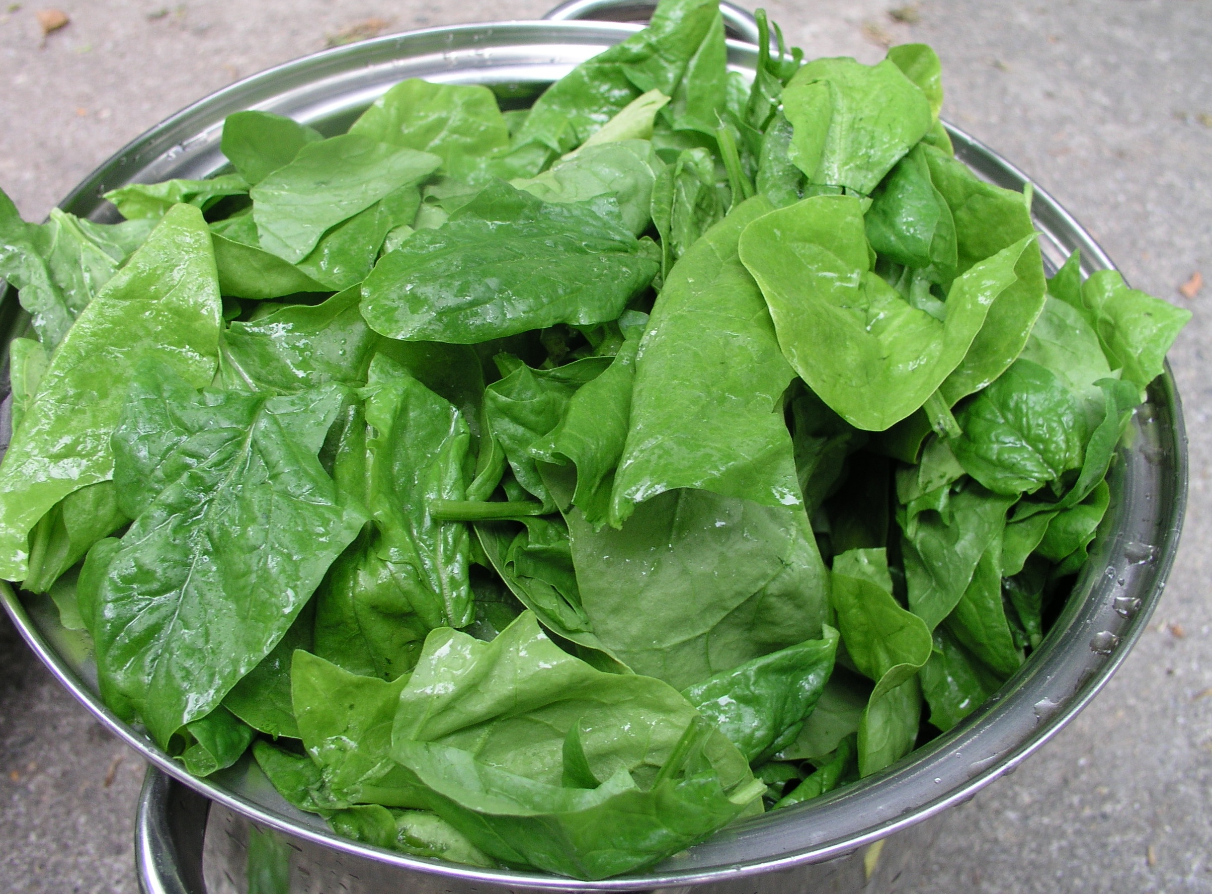A Spin On Spinach New York Amsterdam News The New Black View