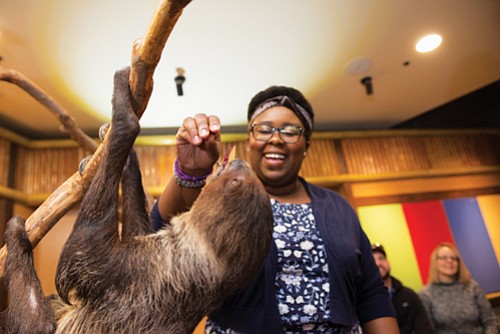 New behind-the-scenes animal encounter tours at the Oregon zoo range from a painting session with macaw artists Pele and Makani ... New behind-the-scenes animal encounter tours at the Oregon zoo range from a painting session with macaw artists Pele and Makani ...