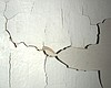 Tease photo