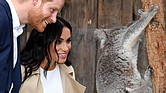 Prince Harry and his wife, Meghan, the expecting Duchess of Sussex, meet Ruby, a mother koala, during their visit Tuesday to Taronga Zoo in Sydney, Australia. The koala recently gave birth to two joeys that have been named for the royal couple.
