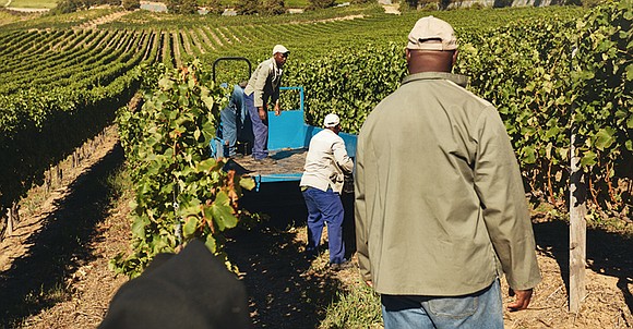 The Black Farmers and Agriculturalists recently hit a snag when the U.S. Court of Appeals, District of Columbia Circuit, denied ... The Black Farmers and Agriculturalists recently hit a snag when the U.S. Court of Appeals, District of Columbia Circuit, denied ...
