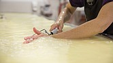 Sister Maria Gonzalo stirs the cheese on a recent Thursday, cheese-making day at the monastery in Crozet. The nuns take shifts in helping with the process that takes place in the monastery’s barn. The cheese is stirred in 20-minute intervals. “We always say the secret ingredient is love and prayer. You get out what you put in,” Sister Gonzalo said.