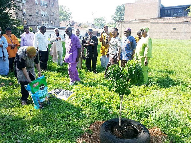 Chatham/Avalon Park residents plant a tree on the land designated for "The Color Green" Urban Garden Project. 